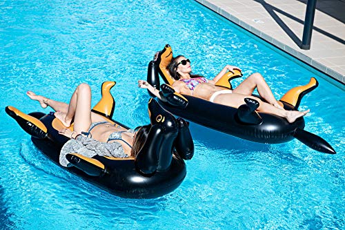dachshund pool float amazon