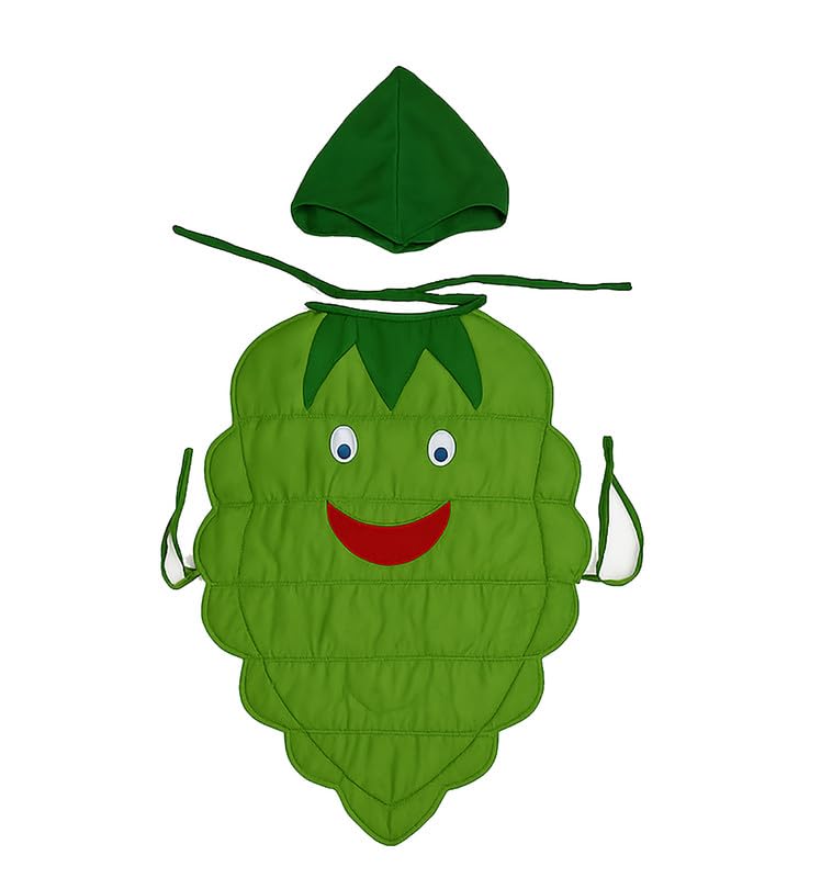 Image of FancyDressWale Fruit & Vegetable Fancy Dress Costume for Kids | Free Size 2-10 Years | School Fancy Dress, Stage Shows, Theme Parties