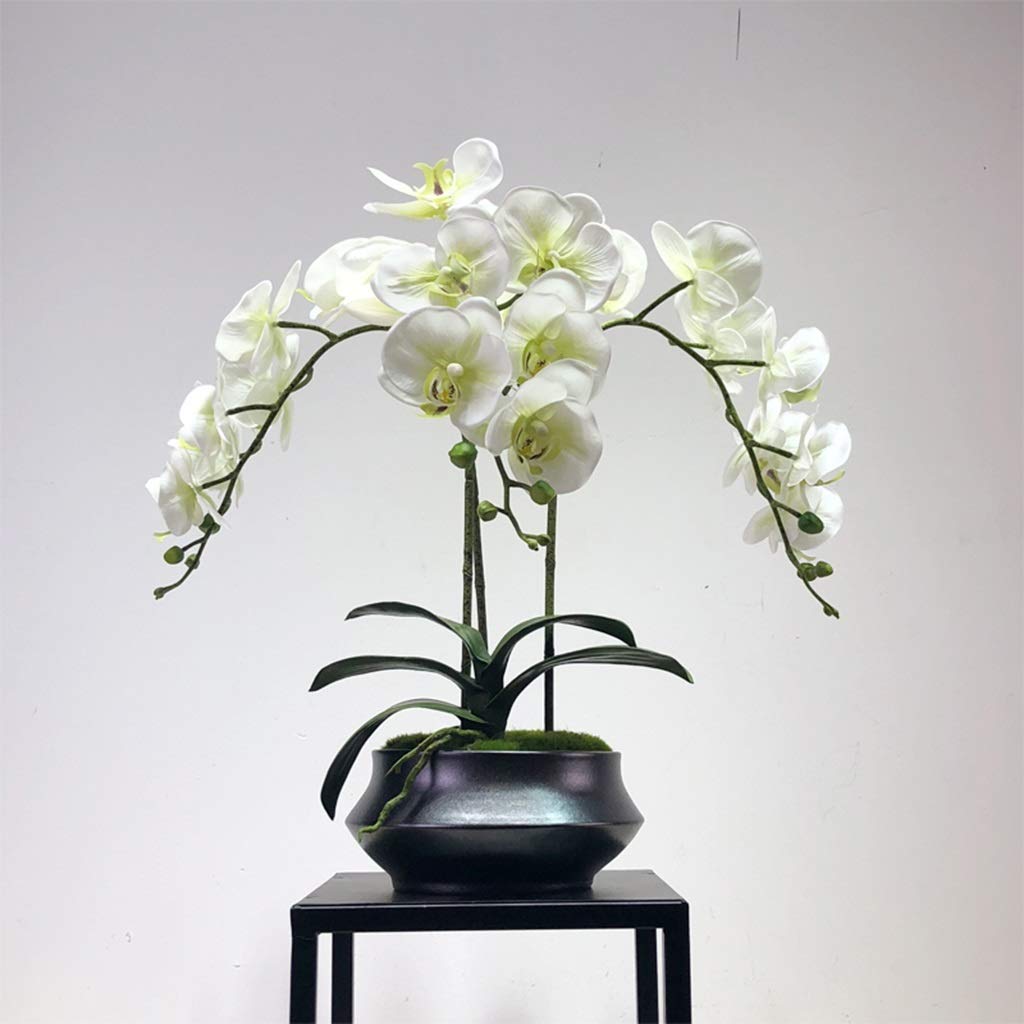 Décoration d'orchidées artificielles - Fausses orchidées Phalaenopsis presque naturelles avec tige et feuilles Fleurs en soie avec vase en céramique Décorer pour la maison/cuisine/chambre/salle à
