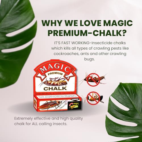 Image of Magic Premium Chalk Cockroach Killer Herbal And Non Toxic (Pack of 3, 250g)