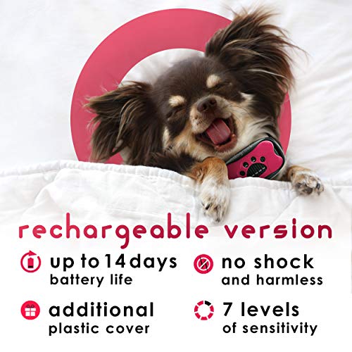 DogRook Rechargeable Bark Collar - Humane, No Shock Training Collar - Action Without Remote - Vibration 