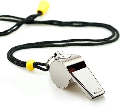 Whistle, 2 Pack Stainless Steel Sports Whistles with Lanyard, Loud Crisp Sound Whistles Great for Coaches, Referees, and Officials (Silver(Stainless Steel))