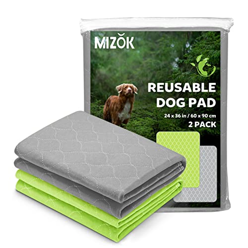 Top 10 Best Washable Dog Pee Pads Reviews & Buying Guide Katynel