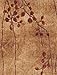 Nourison Somerset Modern Botanical Latte 2'3