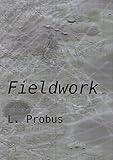  Fieldwork: Marshab 1.4 (English Edition)