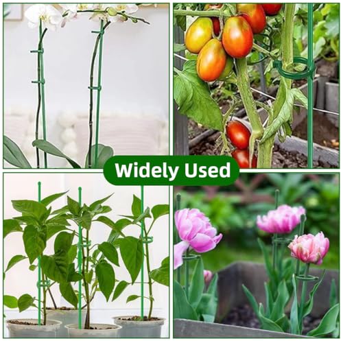 Image of HASTHIP 16Pcs Plant Support Stakes Set with Cable Ties, 45cm & 30cm Upright Plant Support Stake, 6.3mm Dia Weatherproof Reusable Glass Fiber Plants Support Rods for Gladiolus, Chili Peppers