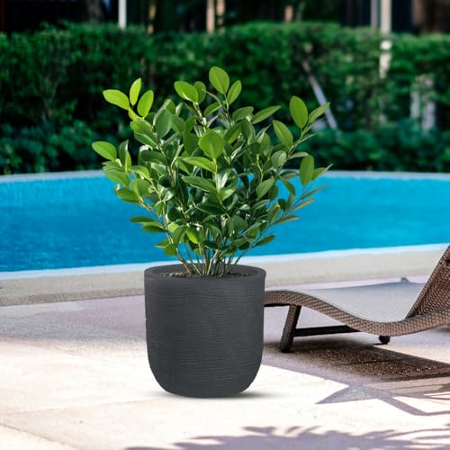 Vase en résine haut de gamme Raffaello Grigio design d35x34h