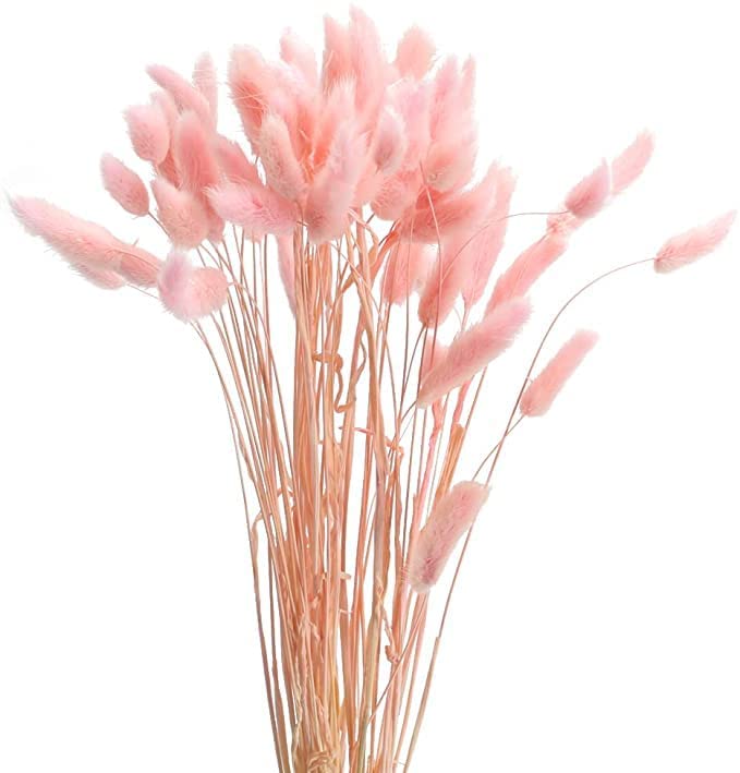 Pink Bunny Tails Pampas Grass - 30 Pcs for Wedding Decor -1