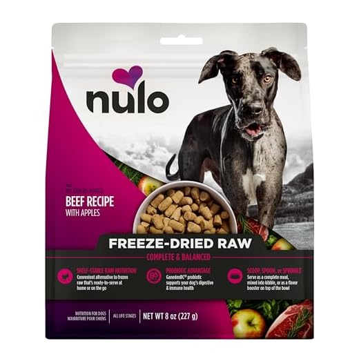 Nulo Freeze-Dried Raw Beef Recipe with Apples Complete and Balanced Dry Dog Food Kibble, 8 Ounce Bag