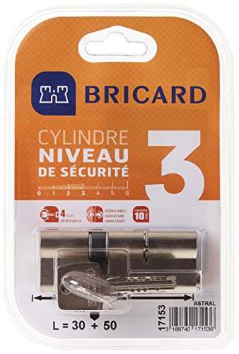 Bricard 17153 Cylindre débrayable Astral 2, 9 en Laiton Nickelé 10 Pistons, 2 entrées 30+50,
