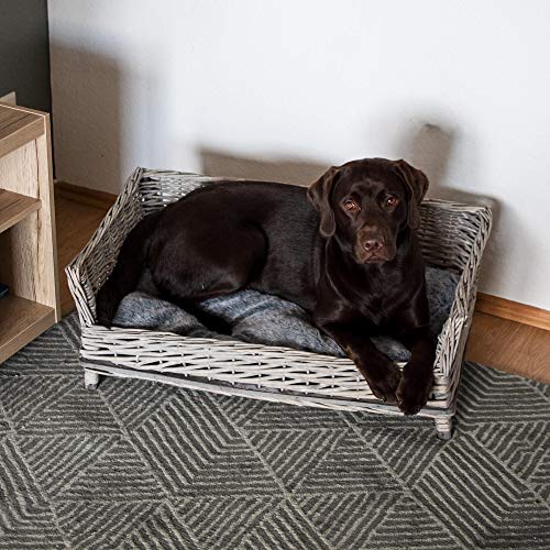 UNUS Hundebett aus Weide, eckiges Hundesofa, 80 cm breit, mit grauem Polyesterkissen, ideal für mittelgroße bis große Hunde