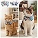 Fyntave 2 Pcs Bowtie Cat Collar for Boy Breakaway Cat Collars with Bell and Bow Blue Cute Plaid Kitten Collars Removable Pet Shirt Bowtie Adjustable Blue Bow Collar for Cats