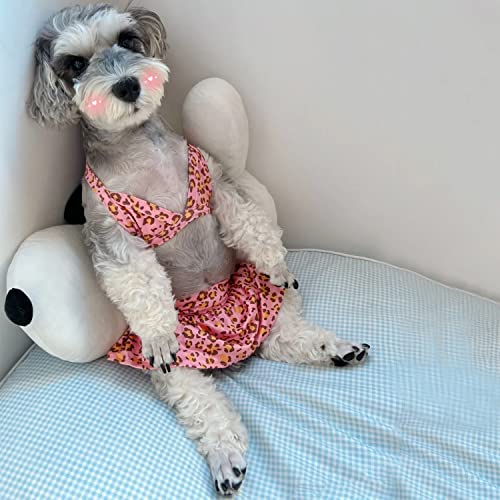 Image of Dog Bikini Swimsuit Summer Doggie Bathing Dress Leopard Rainbow Cat Skirt Beach Outfit for Puppy Dog Cat (XS, Leopard)