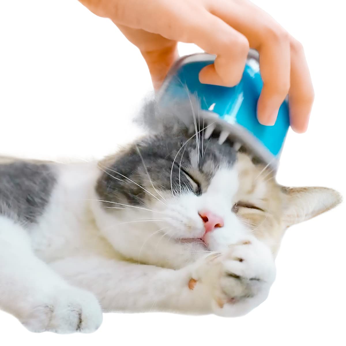 Cheerble 猫 ブラシ 猫ちゃんのご褒美エステ キャンディ・ブラシ（Sea…