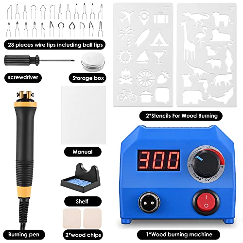 HIUYRFS Kit Pirografia Legno 0-700 ℃ Controllo