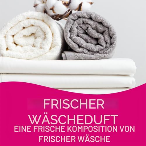 Lufterfrischer Duftdose Auto Zubehör, California Car Scents, Auto Duft, 4 Stück, Fresh Linen – Ansicht 2