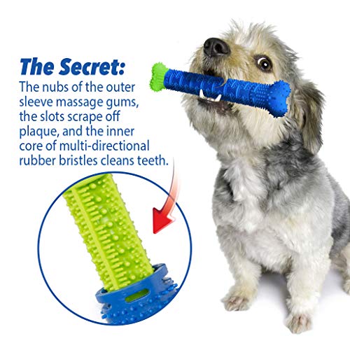 Image of BulbHead Chewbrush Toothbrush and Toy - No Dog Toothpaste Required - Great Teeth Cleaning Toy (1 Pack)