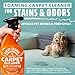ANGRY ORANGE Odor Eliminator and Carpet Cleaner – Citrus Odor Remover Spray + Foaming Carpet & Upholstery Cleaner for Dog and Cat Urine, Stains, and Smells (24 oz Each)