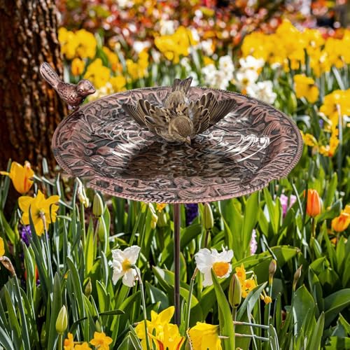 Bain d'oiseaux d'extérieur en fer pour créer un coin nature sur la terrasse
