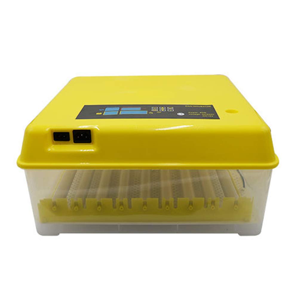 Machine d'éclosion 56 oeufs avec rotation automatique et LED WSHA
