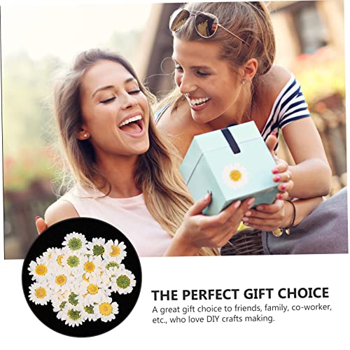 COHEALI 60 Pçs Flores De Margarida Secas Artesanais DIY Conjunto De Flores Secas Folhas De Flores Se