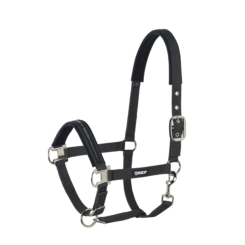 Eskadron Standard Halfter PIN Buckle