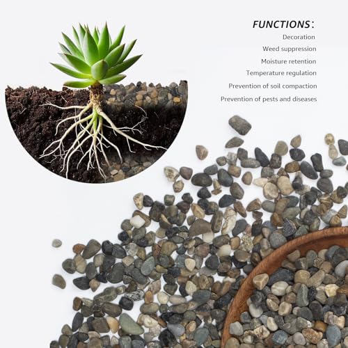 Image of 20lbs Coarse Sand Stone - Succulents and Cactus Rocks, Decorative Gravel for Plants and Vases Fillers，Terrarium, Fairy Gardening, Natural Stone Top Dressing for Potted Plants.