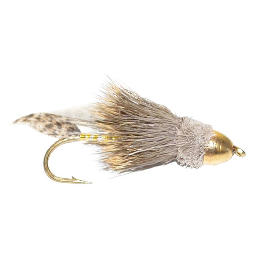 Blue Wing Olive Bead Head Royal Coachmen Nymph Fly, 6-Pack (#16)