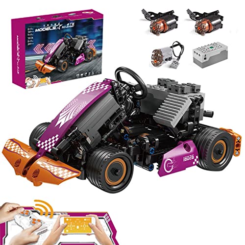 Technik Ferngesteuert Kart Modell, Mold 18026 Technik Rennserie, Sportwagen bausatz mit Motorkit, 289 Pcs klemmbausteine…