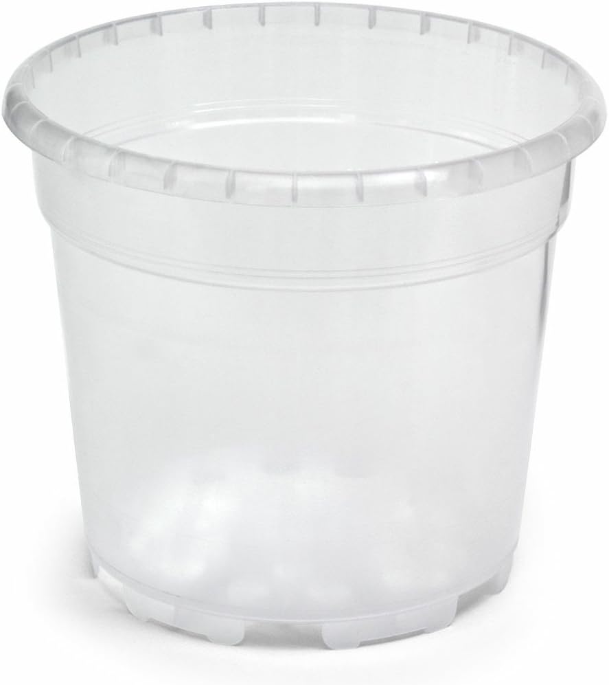 Toddmomy Lot De 6 Pots De Fleurs Transparents Pour Plantes