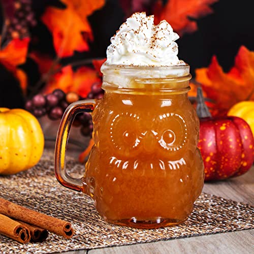 BARCONIC® MINI OWL GLASS MASON JAR WITH HANDLE - 4 OUNCE