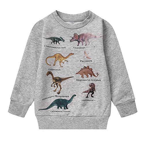Boys Dinosaur Sweatshirts Toddler Boy Long Sleeve Tee Shirt Cartoon Sport Pullover Tops Clothes for Kids(Dino-8023 90/2T)