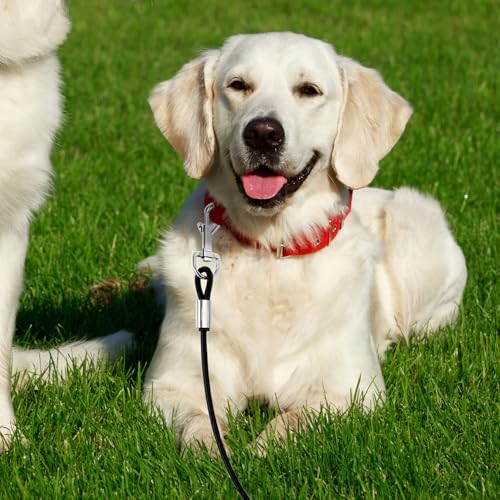 QWORK® 3m Tie-Out Leinen mit 360° Drehbarem Clip - Kausichere, wasserdichte und Rostfreie Hundeleine für Kleine bis Große Hunde