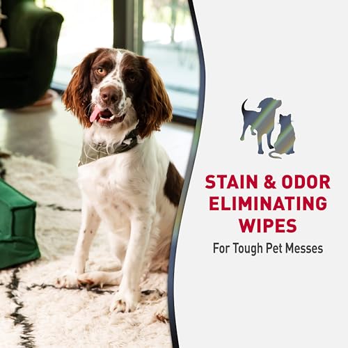 image for Nature's Miracle Nature’s Miracle Advanced Stain And Odor Eliminatin