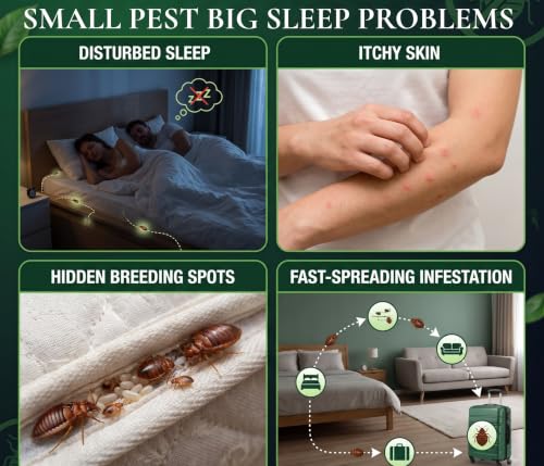 Image of Amish 2X Bedbug Repellent Powder Pack of 8 | Fast-Acting Formula for Mattress, Sofa & Furniture | Long-Lasting Protection Against Hidden Infestations | Home Pest Control