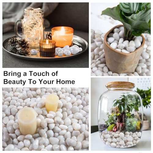 Image of 20lb White River Rock- High Polished Pebbles for Indoor Plants- Decorative Stones for Aquarium Fish Tank - White Rocks for Outdoor Garden Landscaping - 0.3 inch-0.8 inch