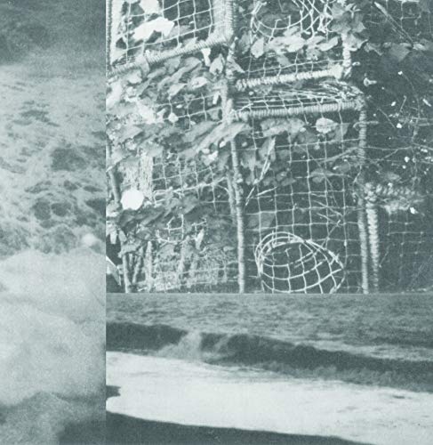 The Processes And Instruments Of Normal People [VINYL] [Vinilo]