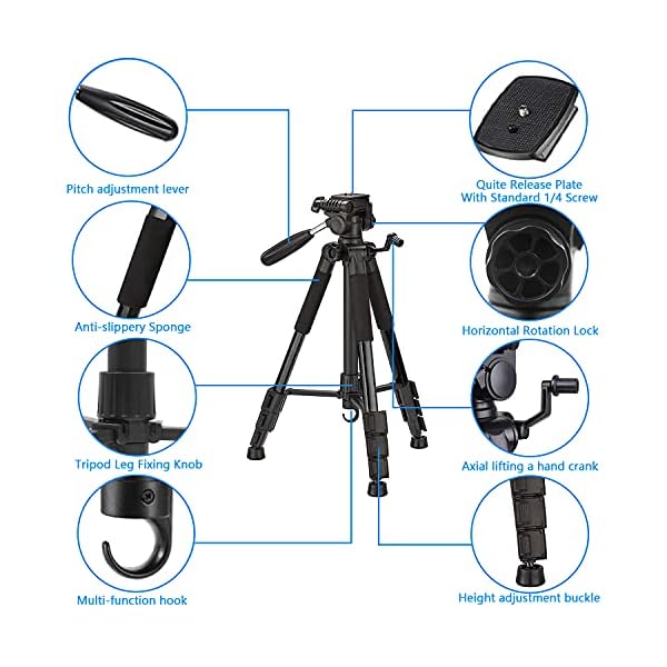 Everesta 144,8 cm (57 Zoll) Stativ für Kamera und Handy Kamera Stativ Ständer mit Schnellwechselplatte kompatibel mit Nikon Canon DSLR iPhone Android Heavy Duty und Stabil mit Tragetasche – Bild 6