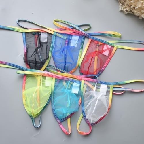 Men's Transparent Mesh Sheer G-String Thong Underwear Low Rise Bulge Pouch G-String Underpants2