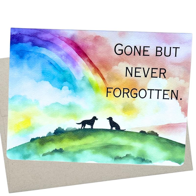 Carte De Condoléances « Sorry For You Loss Condolence » - Carte De