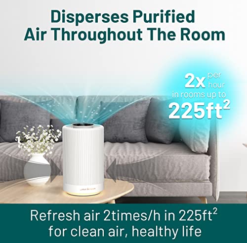 Jafanda Air Purifiers For Home Bedroom,H13 True Hepa Coverage 450 Sqft,23 Db Air Cleaner With Brushless Motor,Effectively Remove Pollen Dust And Odor To Prevent Seasonal Air Diseases,Night Light #TOP1
