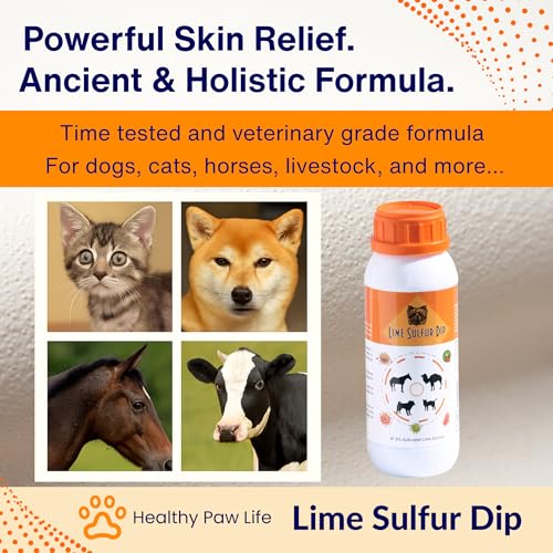 Classic's Lime Sulfur Dip - Pet Care for Itchy and Dry Skin - Xtra Strength Formula - Safe Solution for Dog, Cat, Puppy, Kitten, Horse (16 fl oz)