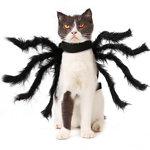 Disfraz de Araña para Perro Halloween TITA-DONG S miniatura 7