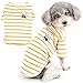Zunea Striped Dog Shirts for Small Dogs Spring Summer T-Shirts Soft Breathable Puppy Clothes Basic Tee Shirt Stretchy Pet Girl Boy Clothing Apparel Sun Protection for Yorkie Chihuahua Yellow M