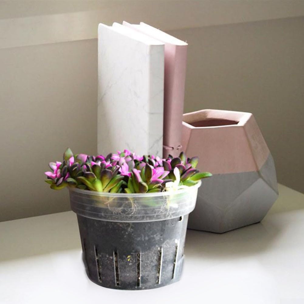 Meshpot 2 vasi in plastica per orchidee da 12,7 cm, con fori, vasi decorativi per piante da fiori da interni ed esterni, erbe, piante serpenti e piante grasse