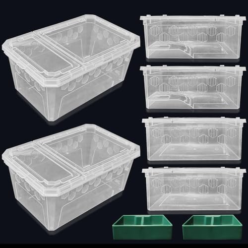 Image of PINVNBY Reptile Feeding Box 6 PCS Snake Breeding Box Lizard Cricket Cage Habitat Hatching Container Transparent Portable Critter Keeper for Spider Scorpion Gecko Tortoise Treefrog (2 Large 4 Small)