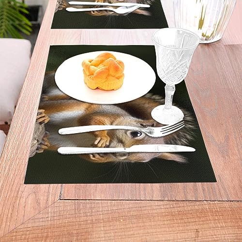 Sets de table design écureuil en PVC tissé haute qualité