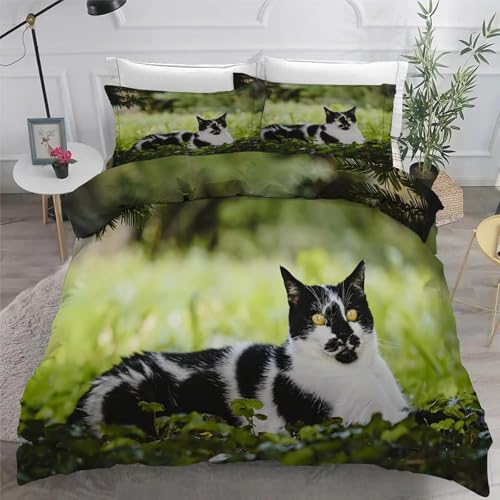 NDXRWDZR �|���z�c�J�o�[ ���킢���L �z�c�Z�b�g �S�J�t�@�X�i�[ �R�ۖh�L �h�_�j �ʋC�� �􂢑��� �|���G�X�e���z�c�J�o�[ 210x210cm + 2 ���J�o�[ 43x6cm