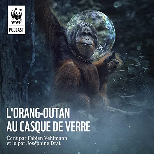 L'Orang-outan au Casque de Verre
