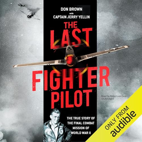 Page de couverture de The Last Fighter Pilot